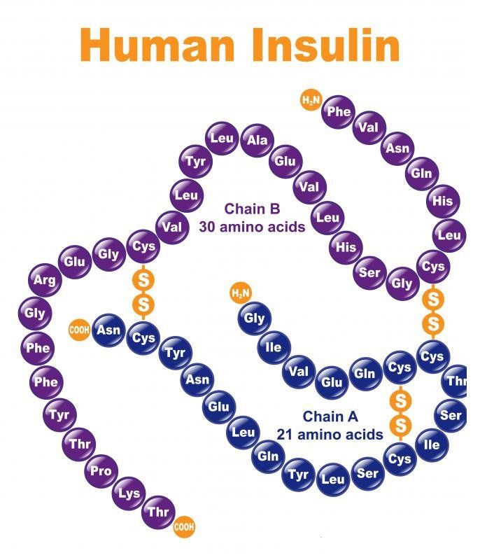 1. Định nghĩa và tổng quan về Insulin