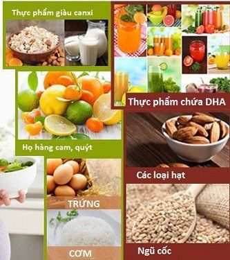 
Một số đồ ăn giàu Canxi, DHA
