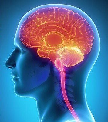 Distinguishing encephalitis and meningitis in children