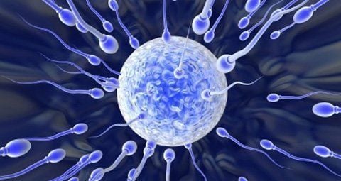 What is a semen analysis?