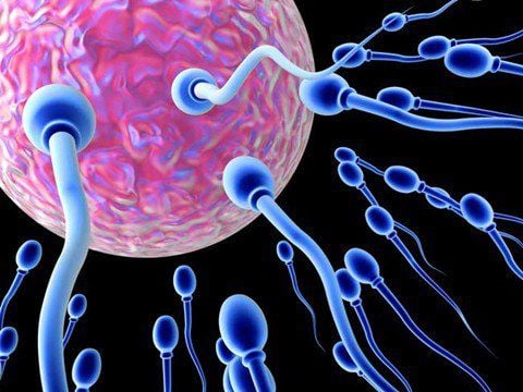 Why have a semen analysis? Meaning of test indicators