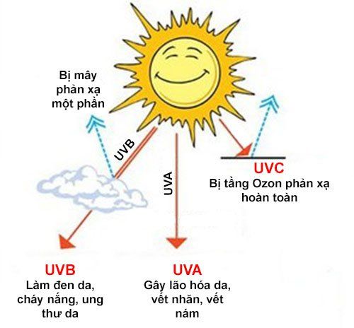 
Mặt Trời tỏa ra cả 3 loại tia cực tím: UVA, UVB và UVC
