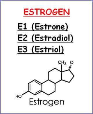 
Có 3 loại estrogen
