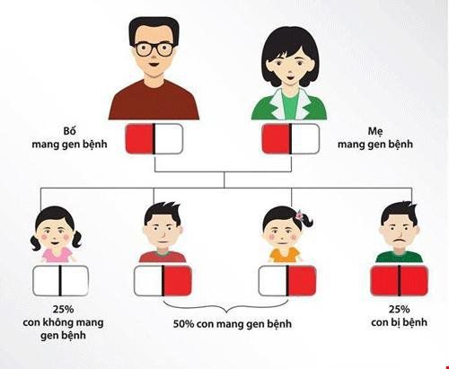 
Sơ đồ di truyền bệnh Thalassemia
