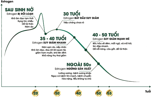 
Mật độ estrogen ở từng lứa tuổi
