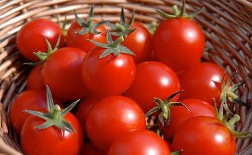 Are tomatoes a fruit or a vegetable?