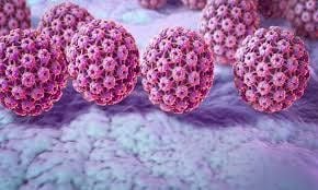 
Virus gây u nhú ở người (HPV)
