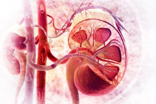 The danger of acute glomerulonephritis