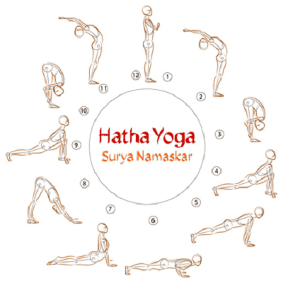 
Những động tác cơ bản trong Hatha Yoga
