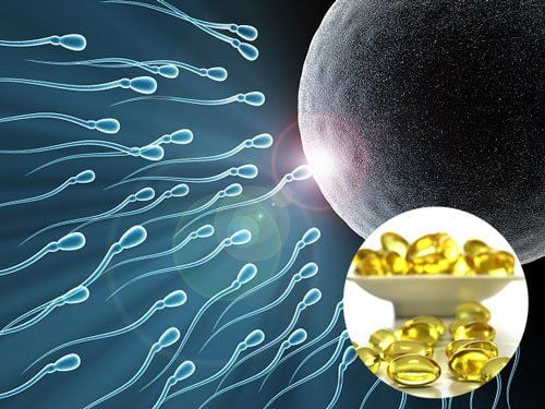 The relationship between vitamin E and fertility