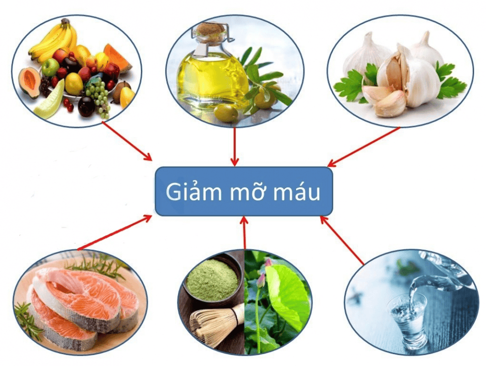 Giảm Mỡ Máu Nên Ăn Gì?