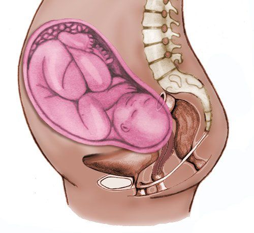 
Tháng 5 - 6 của thai kỳ: Chiều dài tử cung khi mang thai thay đổi và đã cao tới rốn
