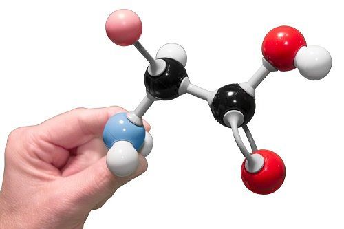 What does the amino acid Threonine do?