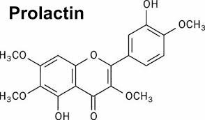 
Hormone Prolactin được phóng thích sau khi cả nam và nữ đạt cực khoái
