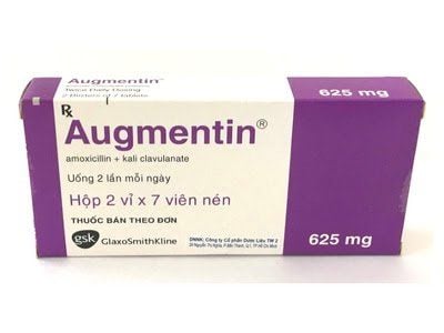 
Chỉ định của Augmentin như thế nào?
