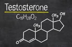 Testosterone supplementation can promote penile growth.
