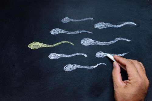 Anti-sperm antibody test, causing male infertility