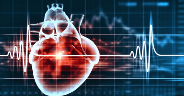 Instructions on how to read echocardiogram results | Vinmec