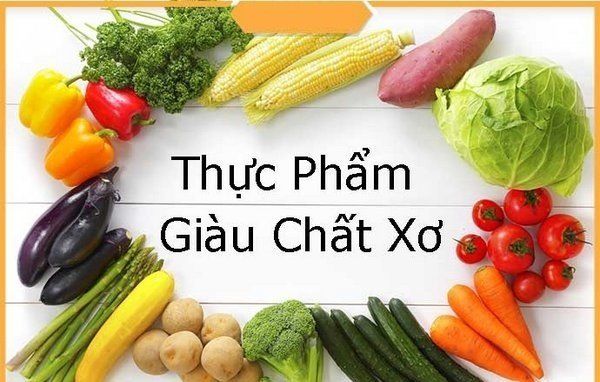 Chất xơ là gì? Khám Phá Lợi Ích và Nguồn Cung Cấp Chất Xơ Đầy Đủ