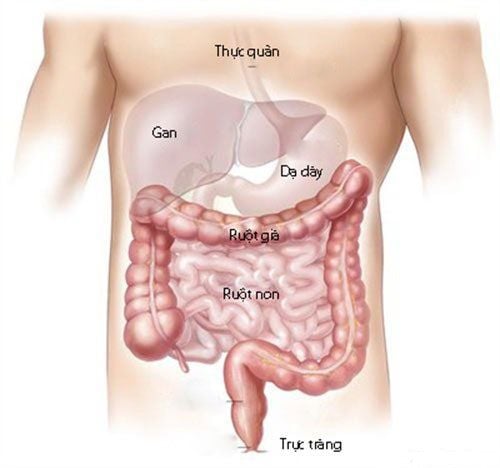 Measures to treat intestinal obstruction