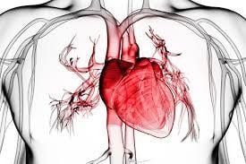 Purulent pericarditis dangerous?