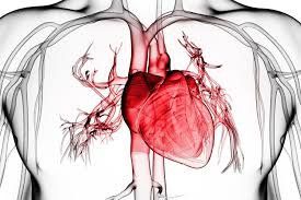 Viêm mủ màng ngoài tim có nguy hiểm?