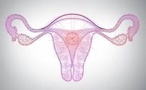 5 causes of pain in the ovary, diagnosis, treatment