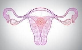 What are the signs of ovarian inflammation?