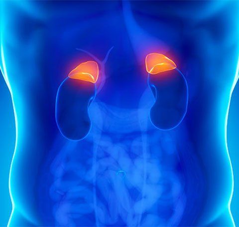 Side effects of Addison's disease (adrenal insufficiency)