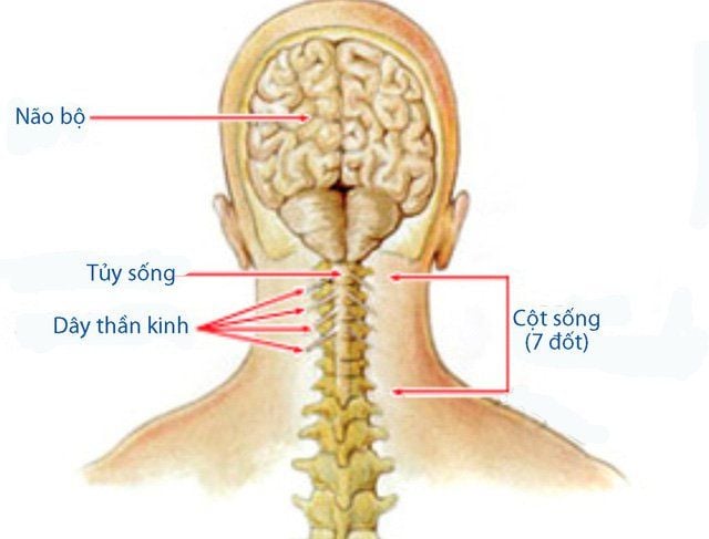 Phục hồi chức năng chấn thương tủy sống cổ | Vinmec