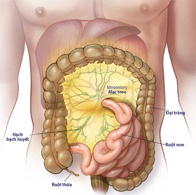 Chẩn đoán và điều trị