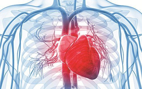 When is myocardial perfusion scintigraphy used?