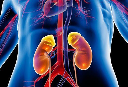 What is the estimated glomerular filtration rate (eGFR)?