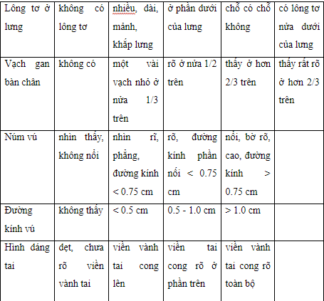 Tài liệu chăm sóc trẻ sơ sinh cân nặng thấp