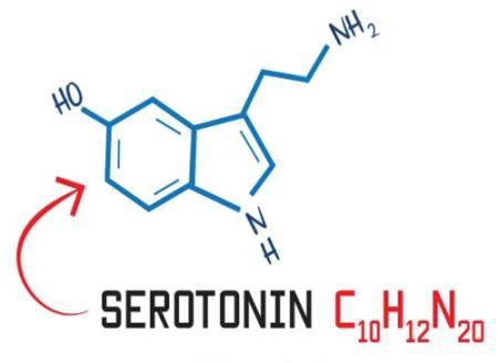 
Serotonin tác động đến sức khỏe tâm thần và mọi bộ phận của cơ thể
