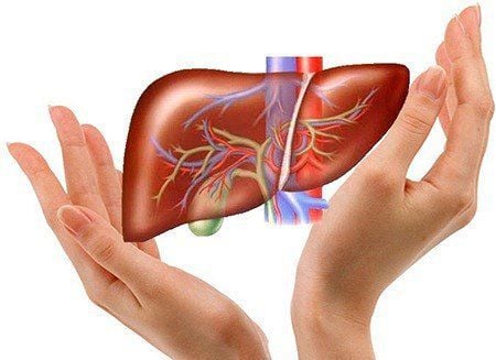 The results of measuring the stiffness of the liver after ultrasound of liver tissue elasticity (Fibrosis)