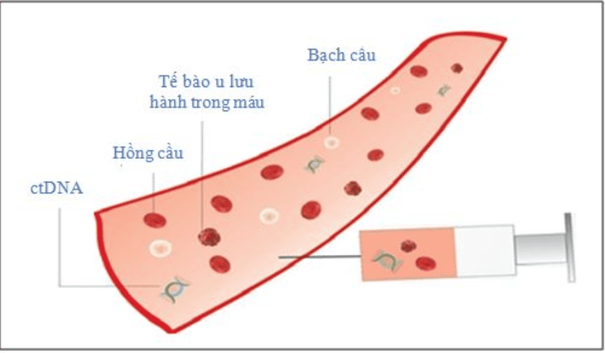 Liquid Biopsy - Liquid biopsies in cancer diagnosis and screening ...