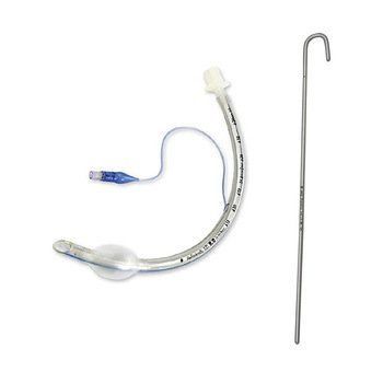 Bronchoscopy through endotracheal tube