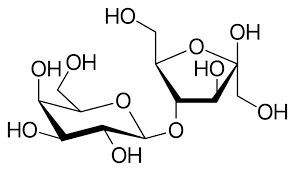 
Tương tác thuốc Lactulose
