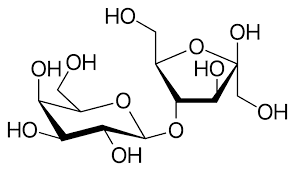 
Tương tác thuốc Lactulose
