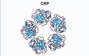 
CRP xuất hiện trong máu của bệnh nhân nhiễm khuẩn huyết
