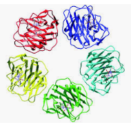 Evaluation of highly sensitive C-reactive protein (hsCRP) in the risk of inflammation and heart disease