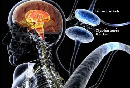 Bệnh suy giảm trí nhớ do bệnh Parkinson (Phần 2)