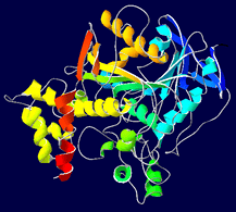 
Thuốc ức chế acetylcholinesterase có hiệu quả trong điều trị hội chứng nhược cơ bẩm sinh
