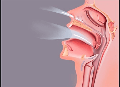 Hình ảnh đốt cuốn mũi