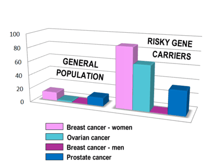 
Hình 3: Nguy cơ mắc bệnh ung thư của quần thể và người mang đột biến gen. General population: quần thể (tất cả mọi người). Risky gene carriers: người mang đột biến di truyền trên gen gây ra hội chứng HBOC. Breast cancer – women: ung thư vú ở nữ giới. Ovarian cancer: ung thư buồng trứng. Breast cancer – men: ung thư vú ở nam giới. Prostate cancer: ung thư tuyến tiền liệt. https://www.hbocsociety.org/
