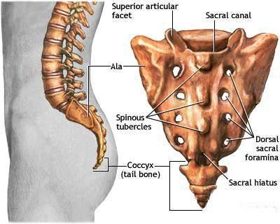 Magnetic resonance imaging procedure of the lumbar spine with injection of magnetic contrast agent