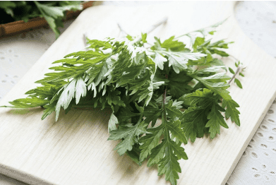 What is mugwort and how is it used?