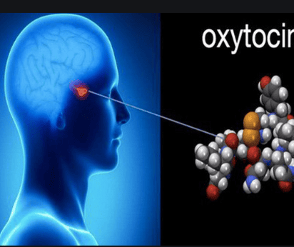 
Oxytocin được sản xuất trong quá trình quan hệ tình dục và liên quan đến cường độ cực khoái.
