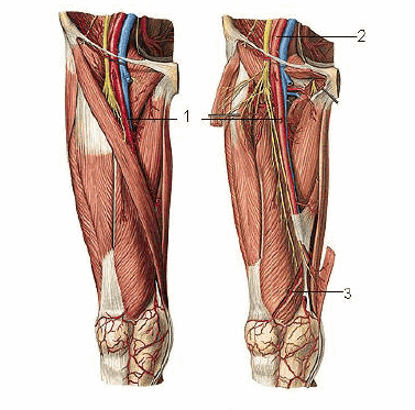 Lower extremity vascular CT scan procedure